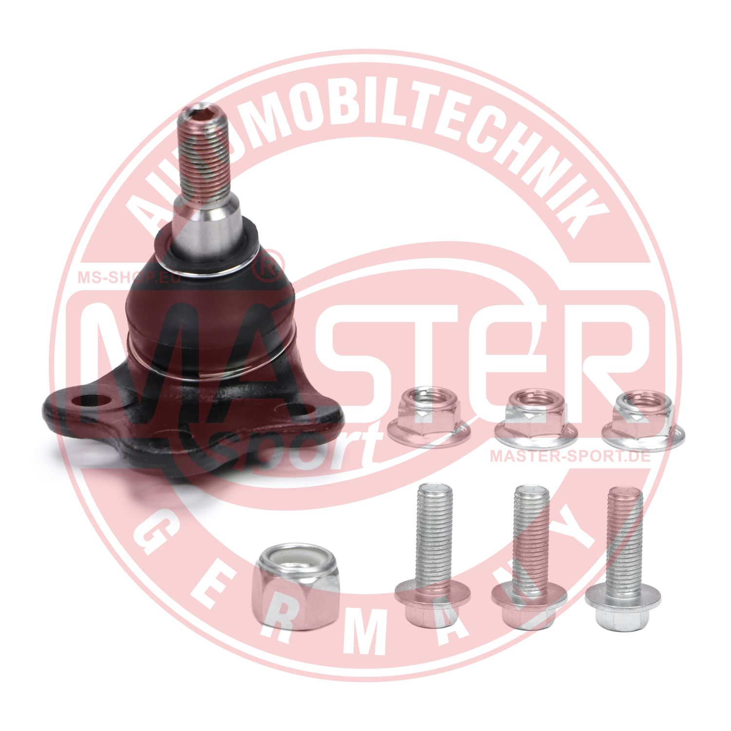 31007-SET-MS
