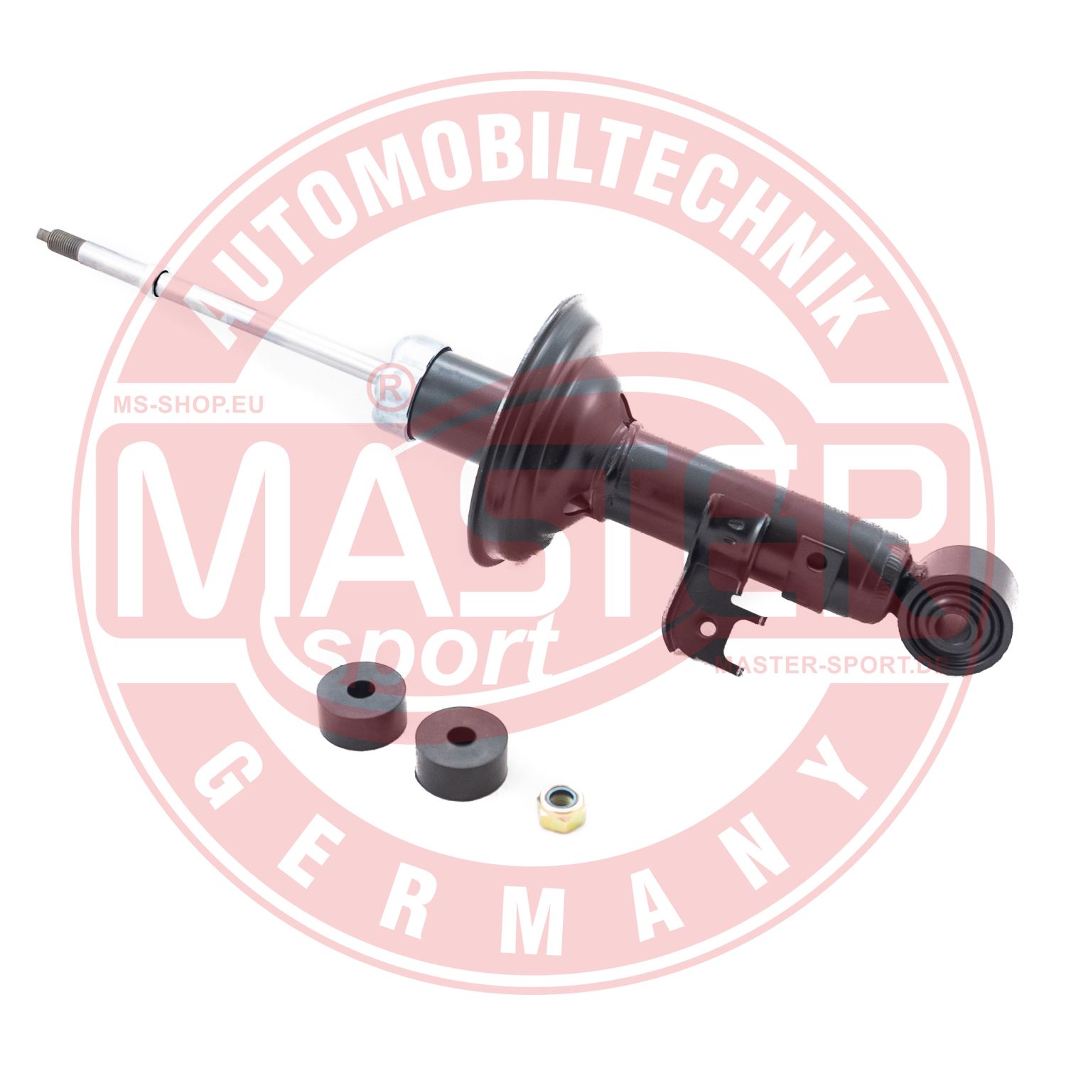 313836-PCS-MS