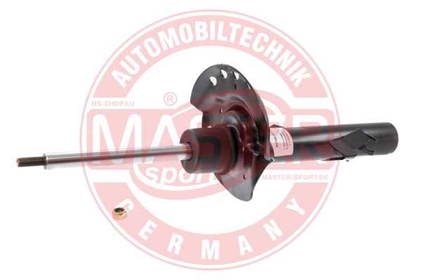 313748-O-PCS-MS