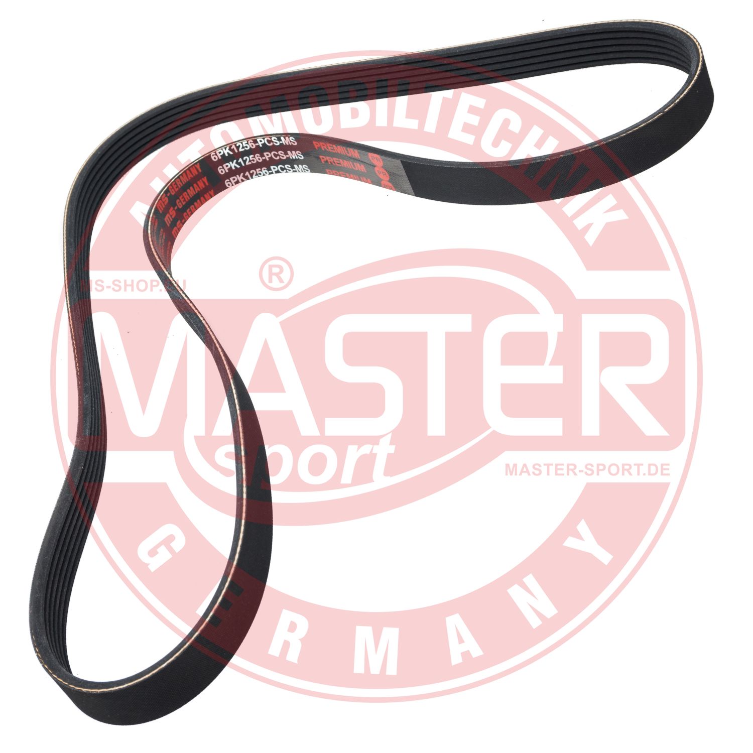 6PK1256-PCS-MS