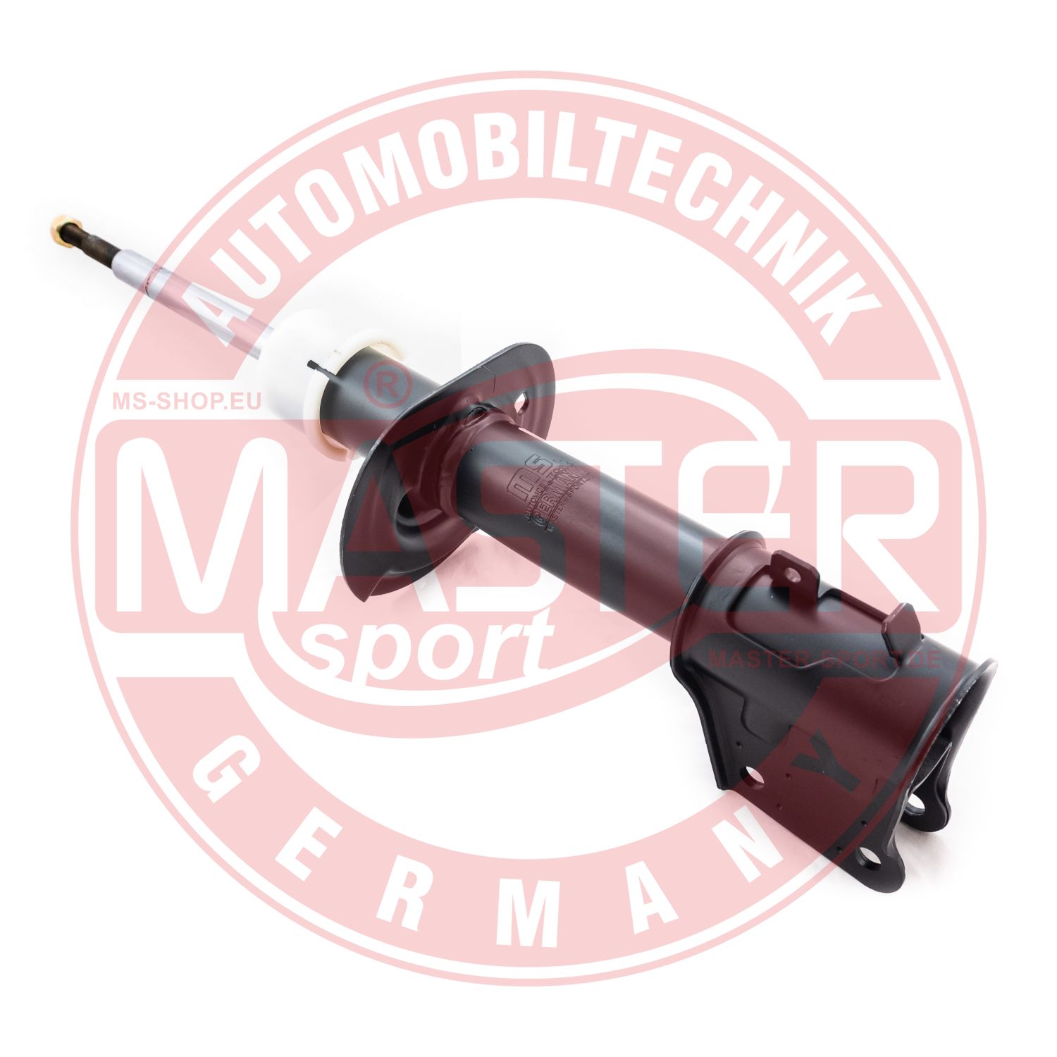 290020-PCS-MS