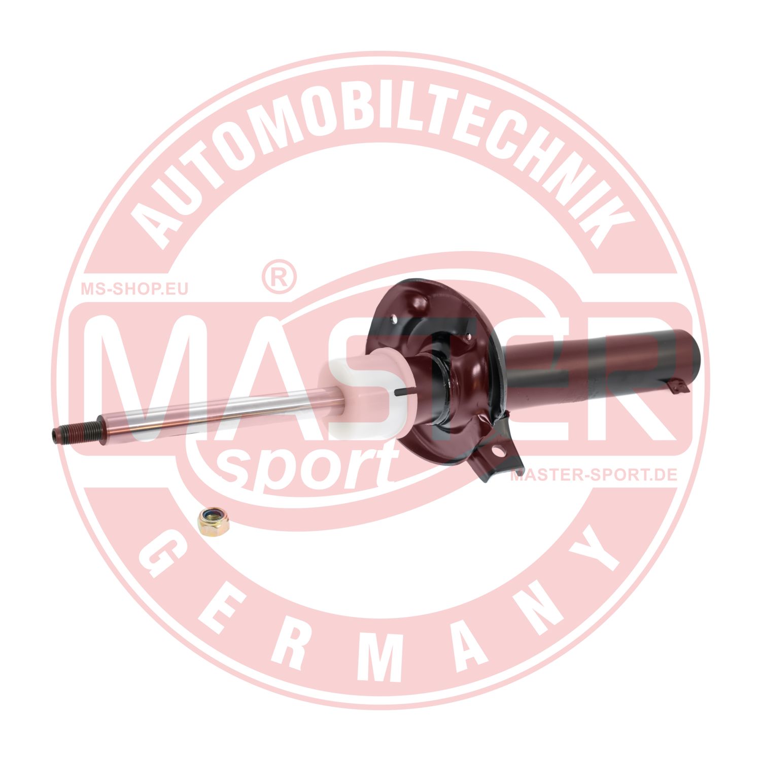 311863-PCS-MS