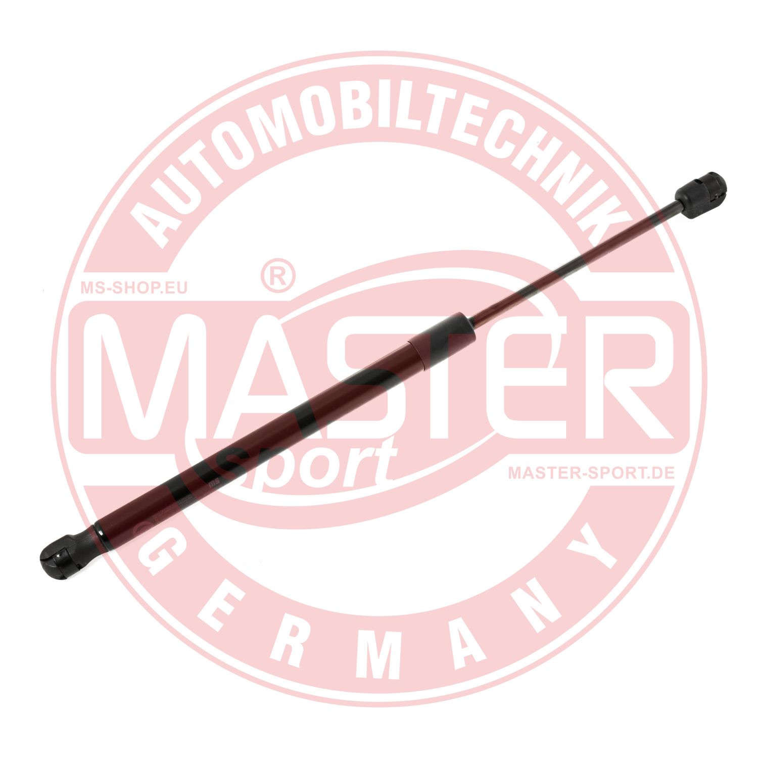 6308023-PCS-MS