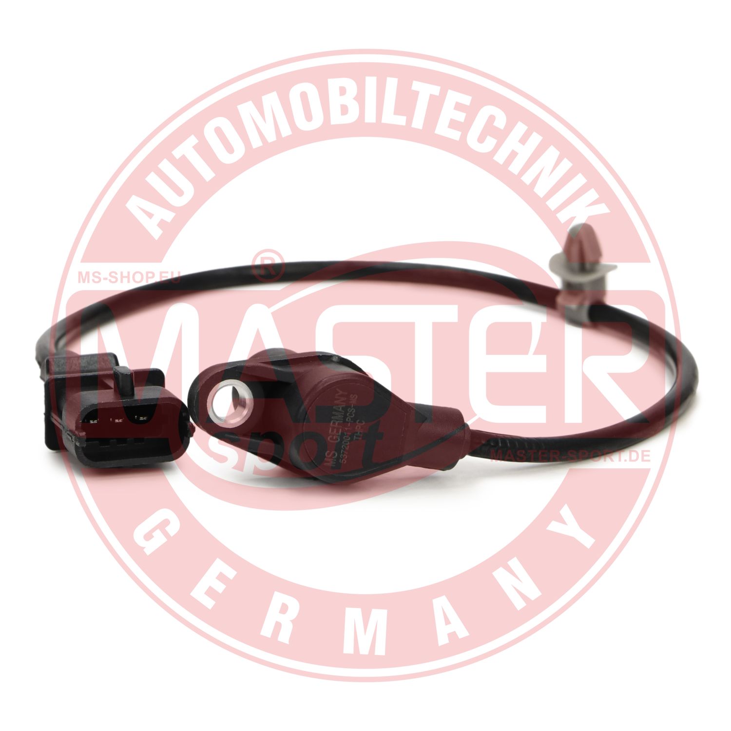 53720011-PCS-MS