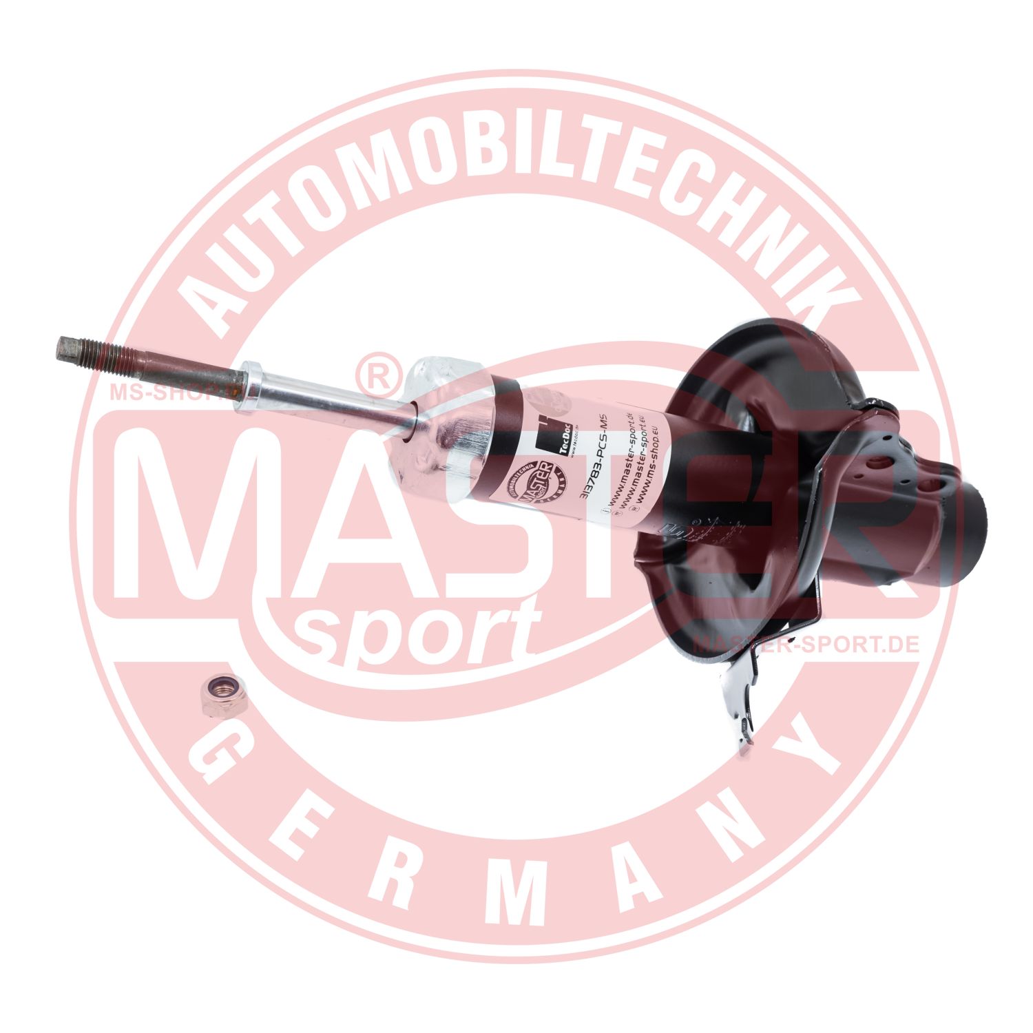 313783-PCS-MS