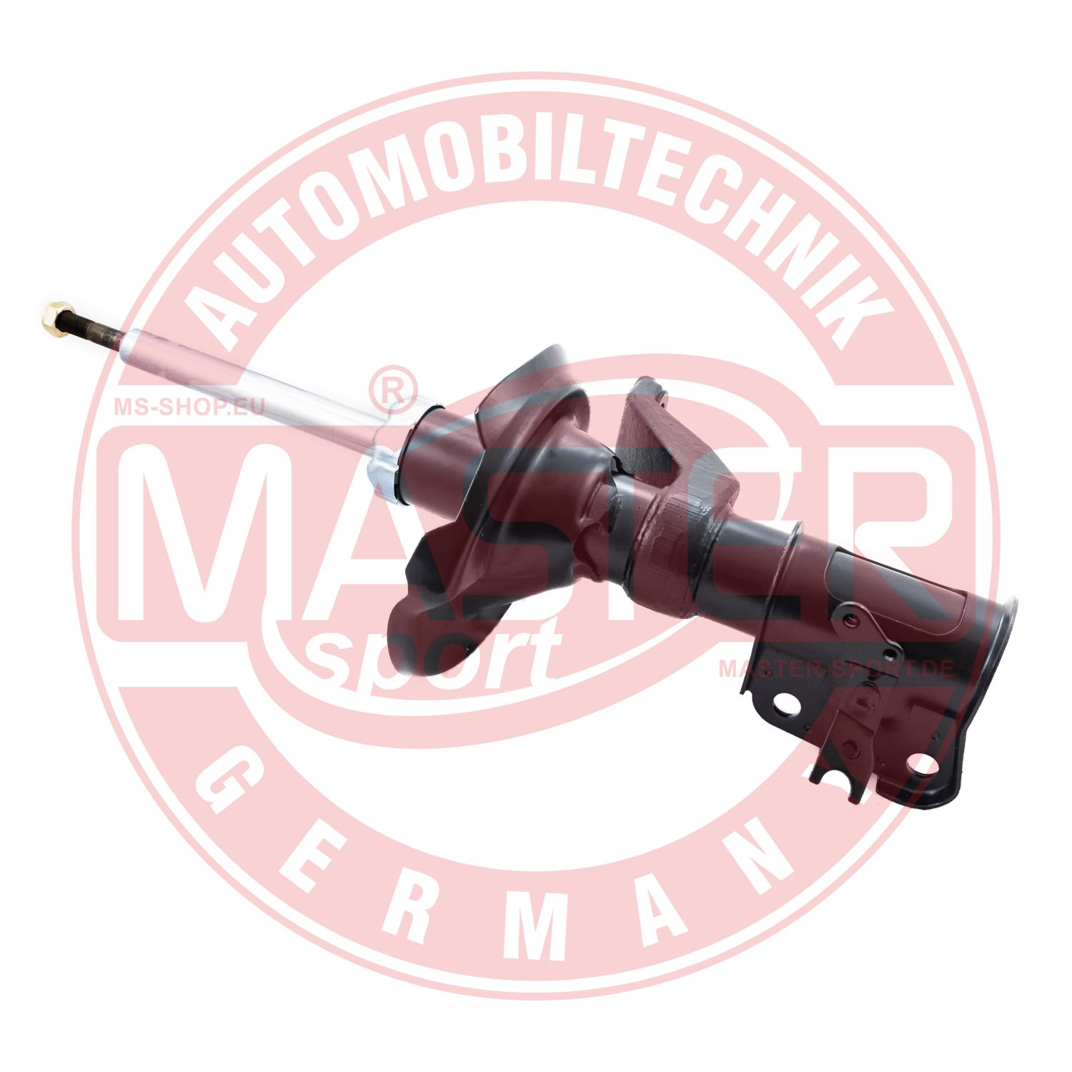 313600-PCS-MS