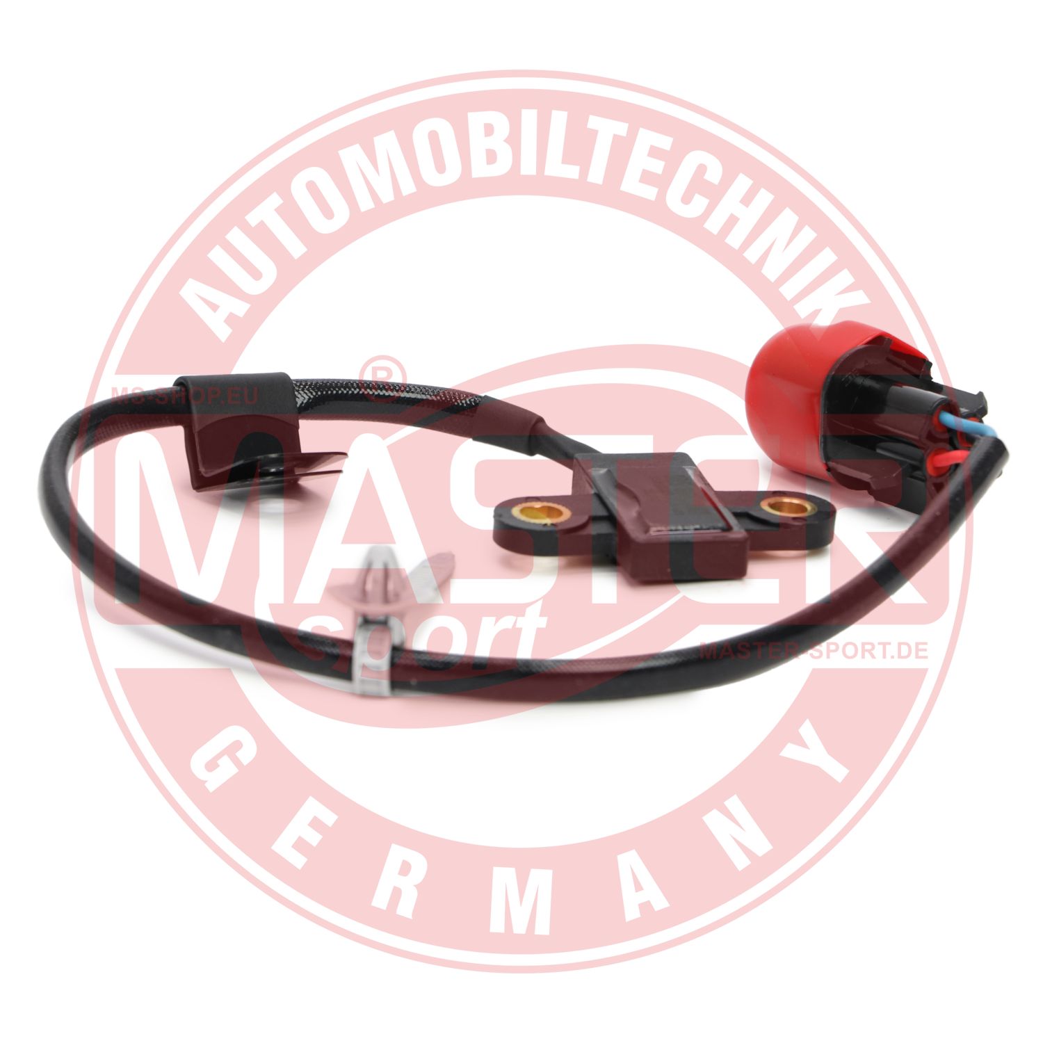 53720069-PCS-MS