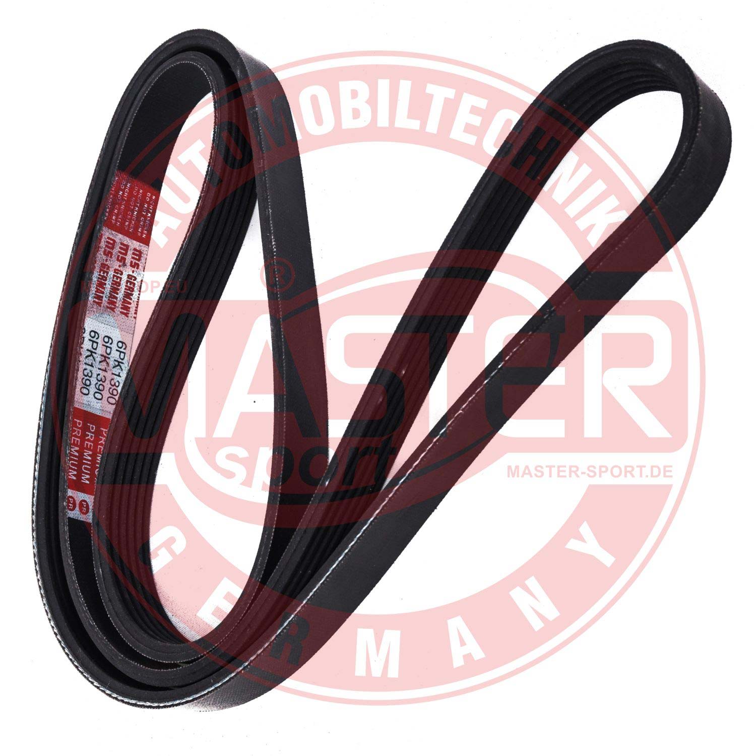 6PK1380-PCS-MS