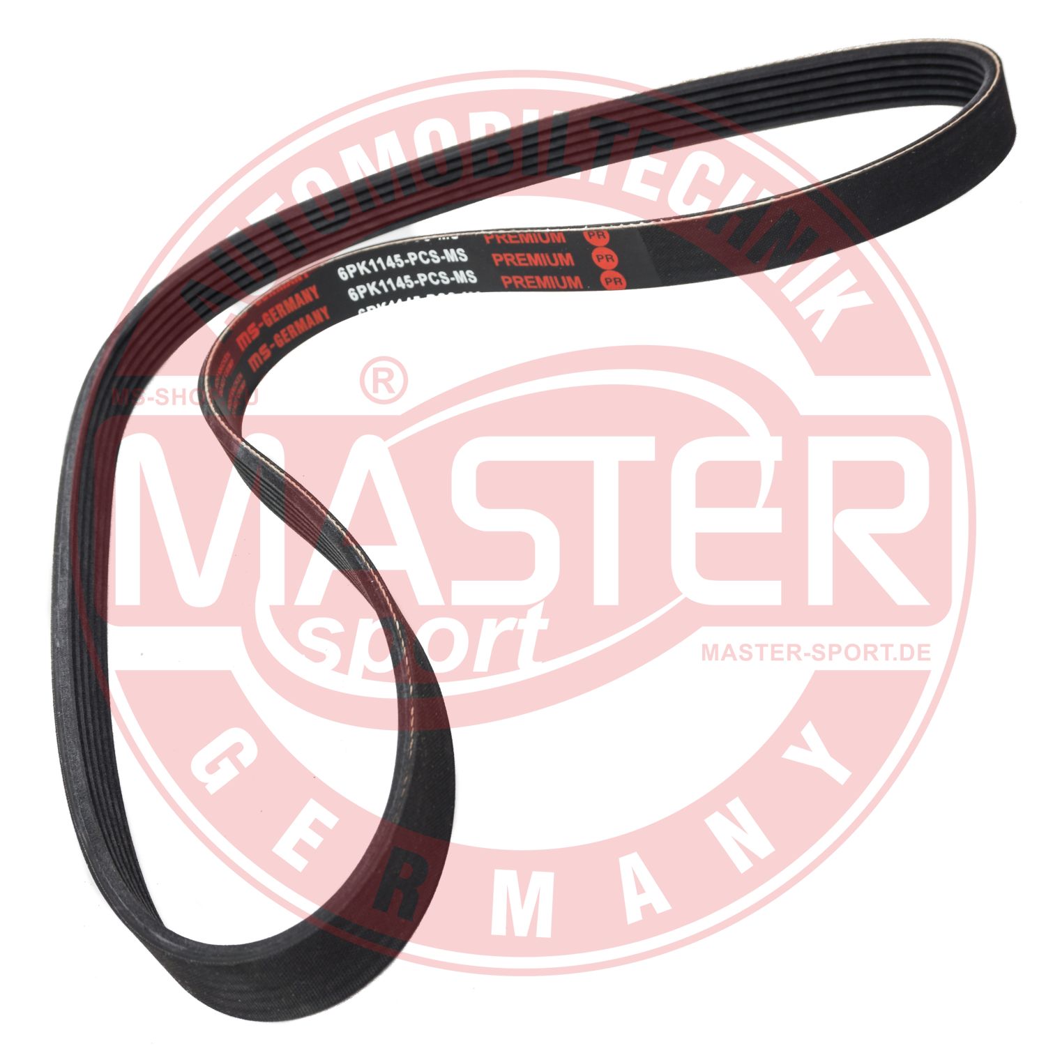 6PK1145-PCS-MS
