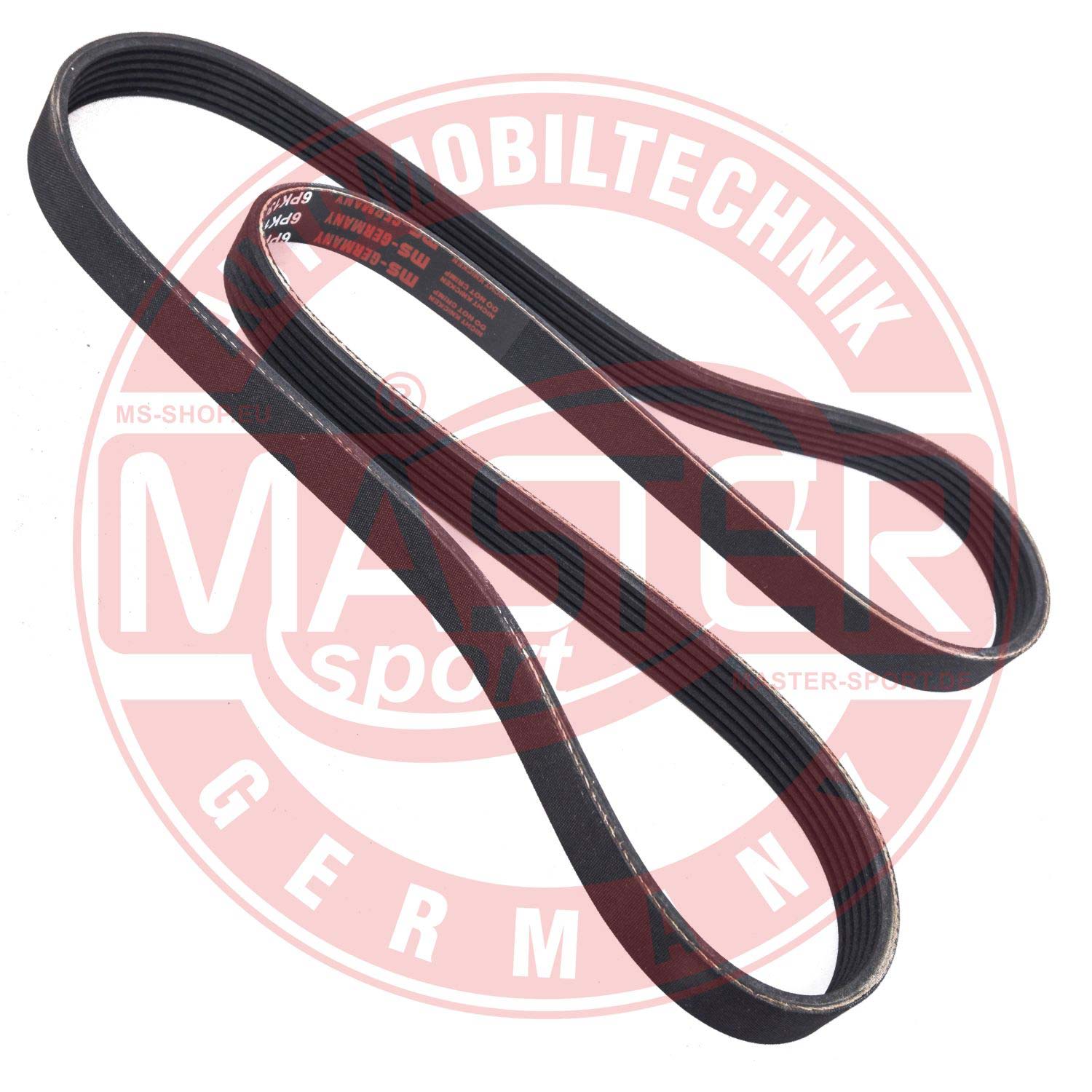 6PK1306-PCS-MS