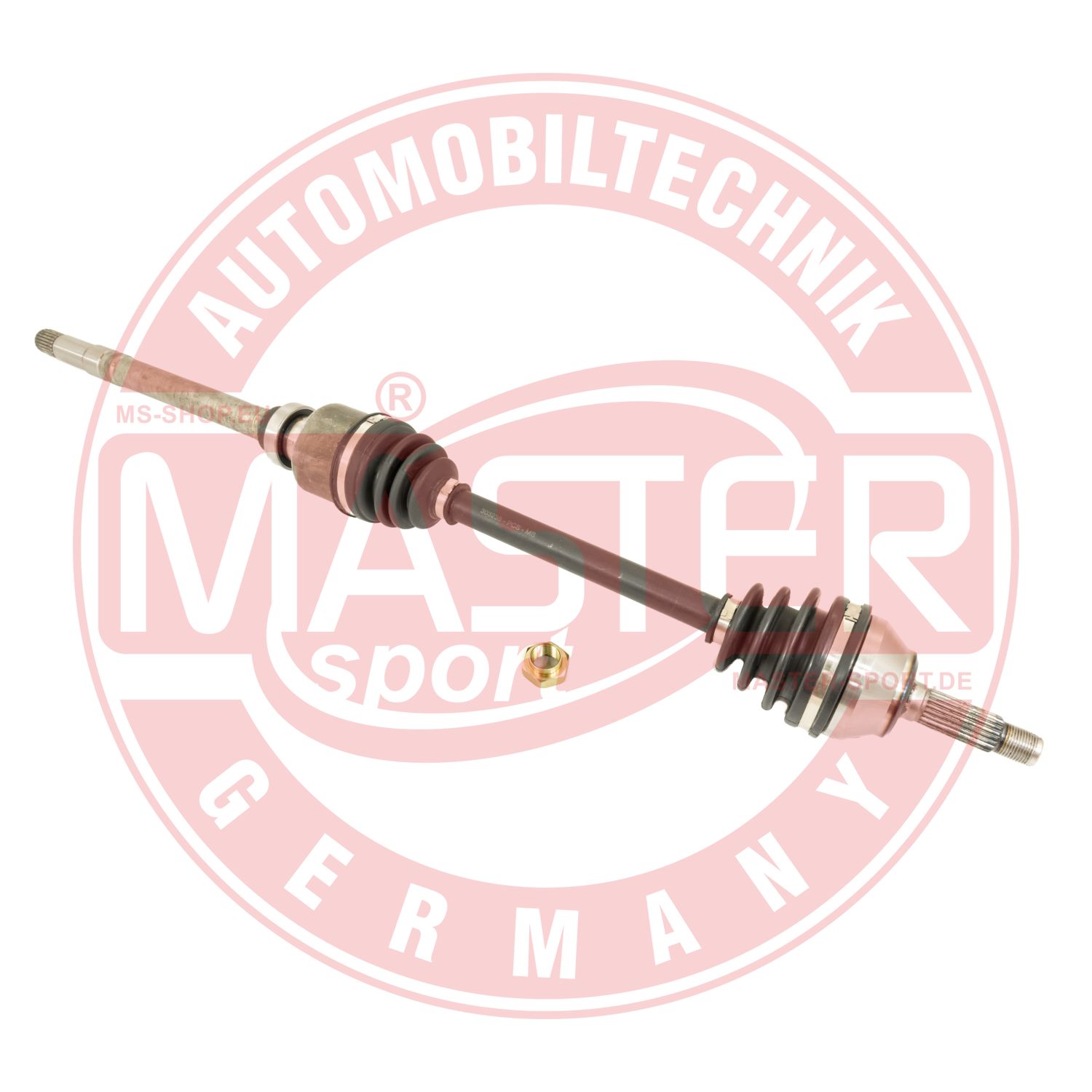 303238-SET-MS