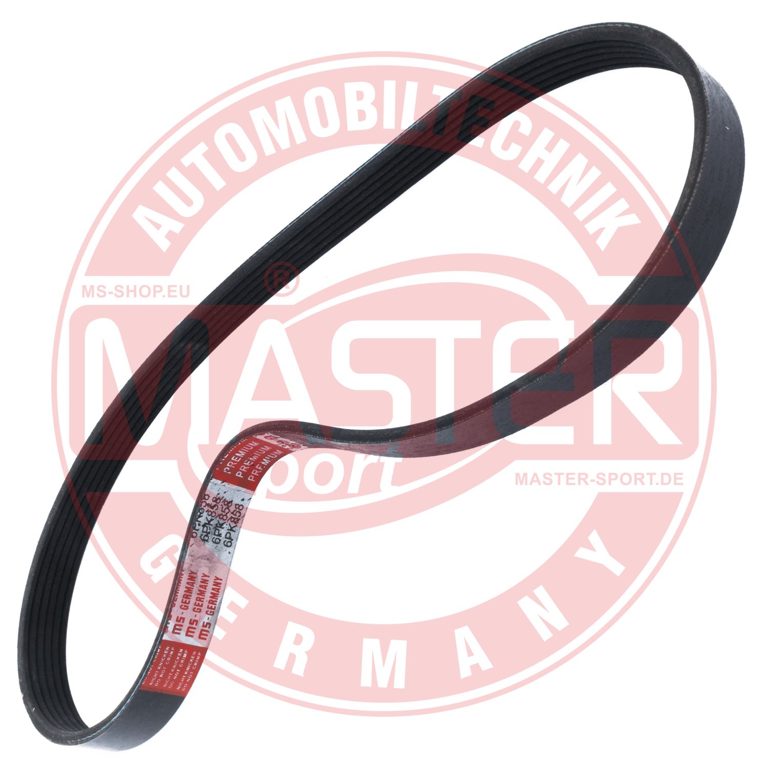 6PK858-PCS-MS