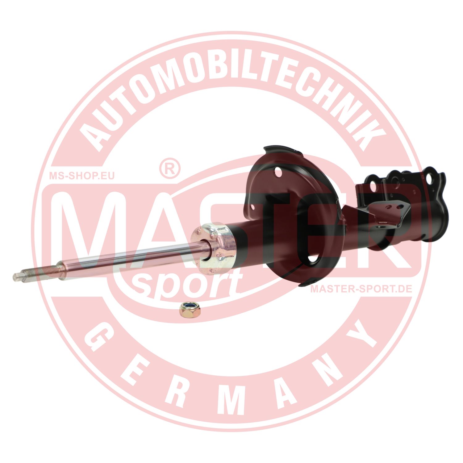 315221-PCS-MS
