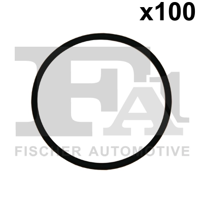 N  909 273 01