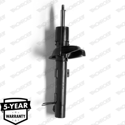 G16276