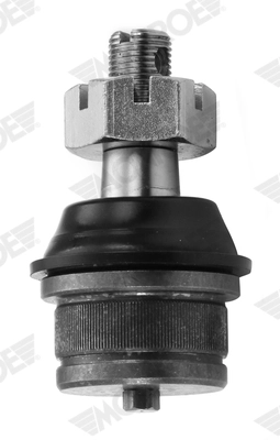 L80J29