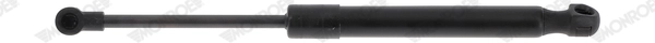 ML6481