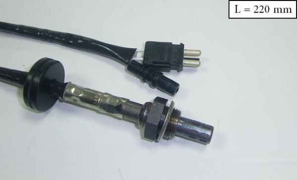 SLS-13295