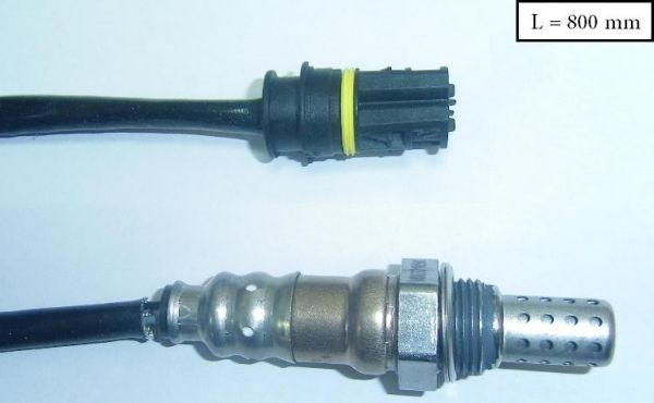 SLS-13304