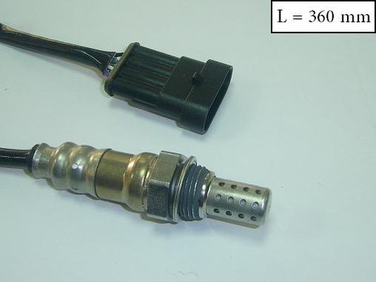 SLS-13169