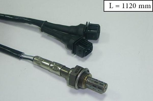 SLS-13303