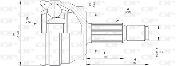 CVJ5580.10