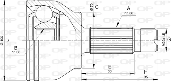 CVJ5781.10