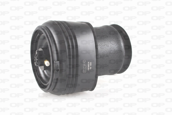 ASP4003.00