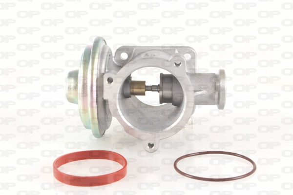 EGR305