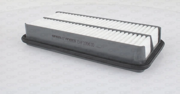 EAF3396.10