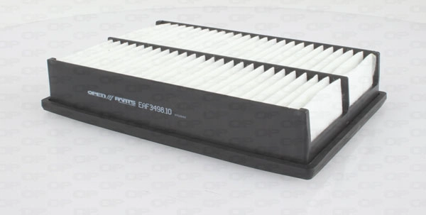 EAF3498.10