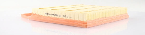 EAF3446.10