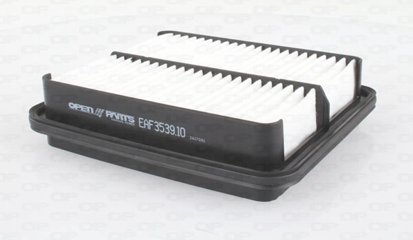 EAF3539.10