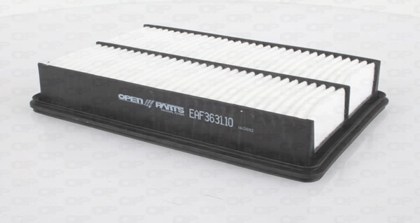 EAF3631.10