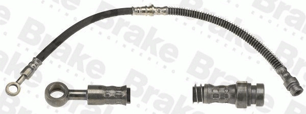 BH770494