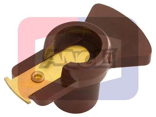 3251