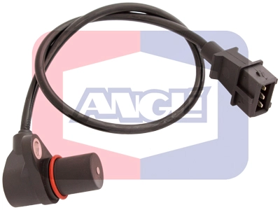 17036