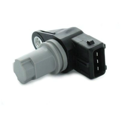 1CS558