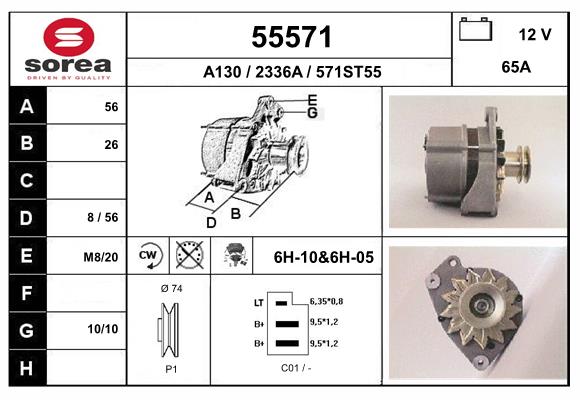 55571
