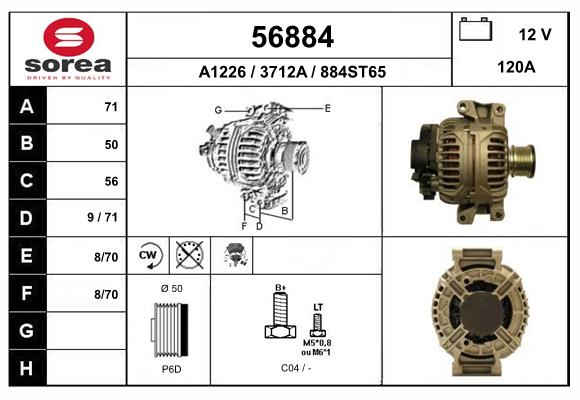 56884