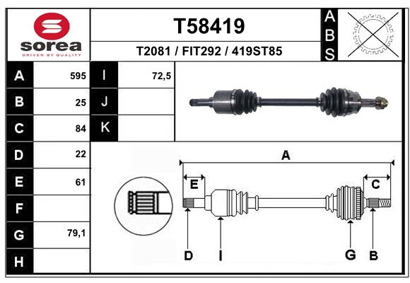 T58419