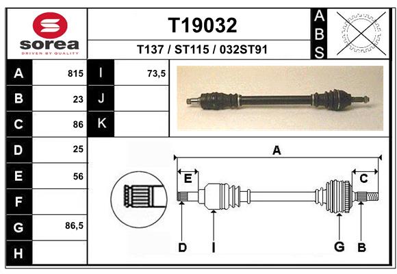 T19032