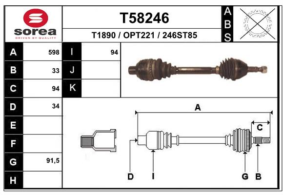 T58246