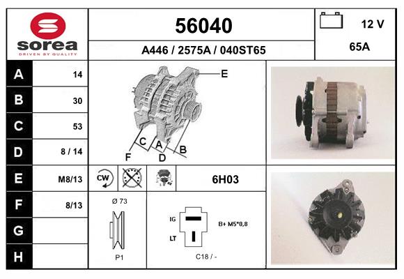 56040