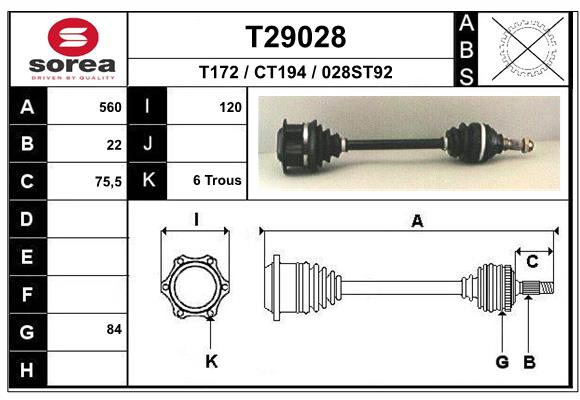 T29028