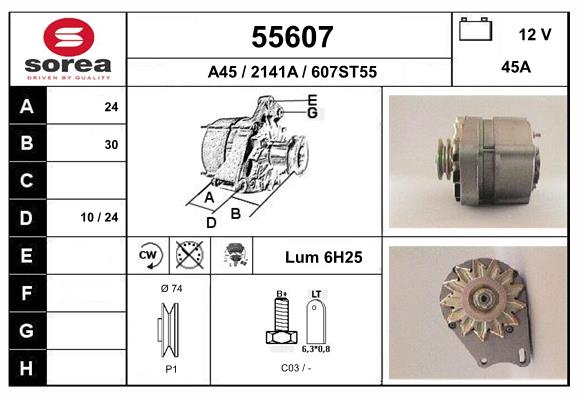 55607
