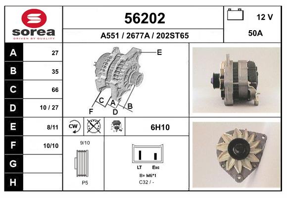 56202