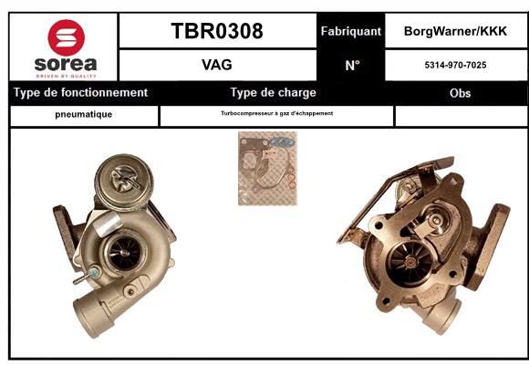 TBR0308