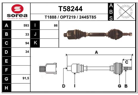 T58244