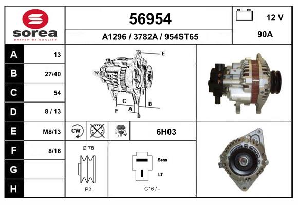 56954